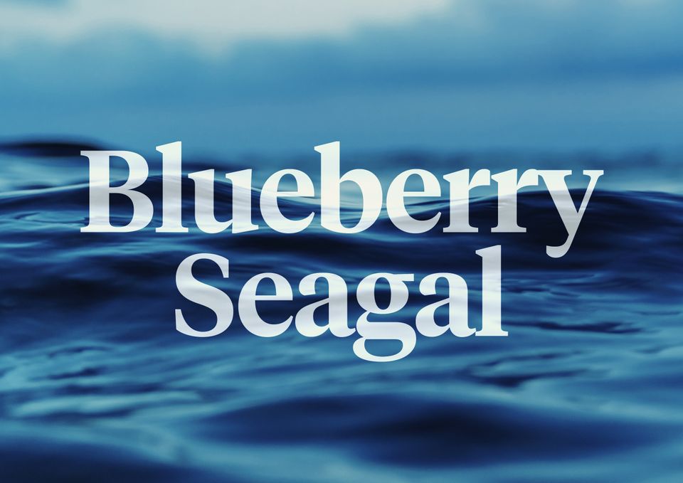A photo of the ocean with the words Blueberry Seagal