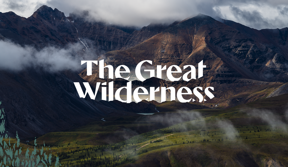 a photo of a misty mountain range, with a logo that says The Great Wilderness overlaid on it